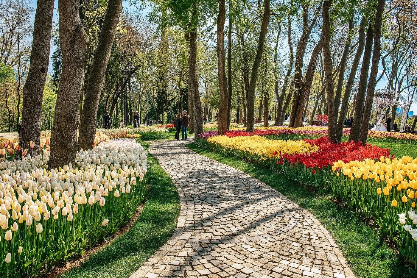 Emirgan’da Doğa ve Boğaz Manzarası: Shuttle Port Turkey ile Huzurlu Bir Gün